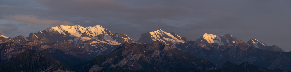 Tierfotos Beispiele mit der Nikon Z9 und dem 70-200mm 2.8.